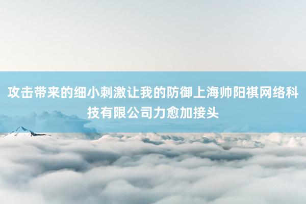 攻击带来的细小刺激让我的防御上海帅阳祺网络科技有限公司力愈加接头